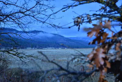 DSC_5829 (Large).JPG